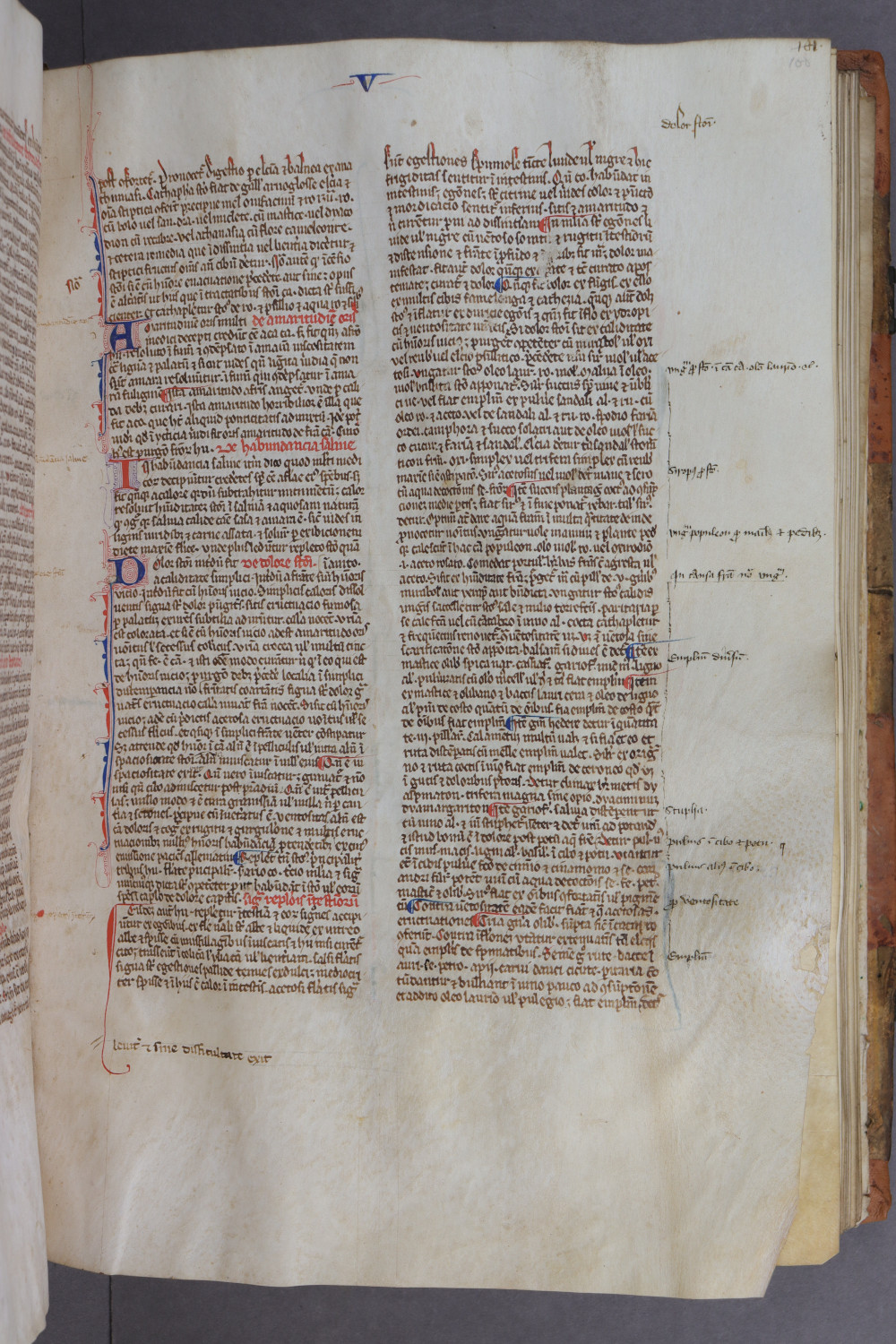 Folio 100 recto